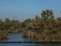 NL, Noord-Brabant, Altena, Spijkerboor 3, Saxifraga-Jan van der Straaten