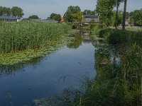 NL, Noord-Brabant, Altena, Vierbansche Gantel 1, Saxifraga-Jan van der Straaten