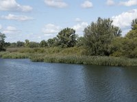 NL, Noord-Brabant, Altena, Vijf Ambachten 10, Saxifraga-Willem van Kruijsbergen