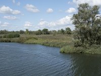 NL, Noord-Brabant, Altena, Vijf Ambachten 13, Saxifraga-Willem van Kruijsbergen