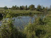 NL, Noord-Brabant, Bergen op Zoom, Hildernisse 16, Saxifraga-Jan van der Straaten