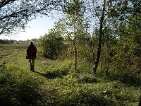 NL, Noord-Brabant, Bergen op Zoom, Hildernisse 2, Saxifraga-Jan van der Straaten