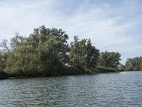 NL, Noord-Brabant, Drimmelen, Gat van Van Kampen 30 Saxifraga-Willem van Kruijsbergen