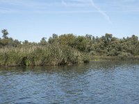 NL, Noord-Brabant, Drimmelen, Gat van Van Kampen 32, Saxifraga-Willem van Kruijsbergen