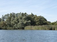 NL, Noord-Brabant, Drimmelen, Gat van de Buisjes 4, Saxifraga-Willem van Kruijsbergen