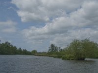 NL, Noord-Brabant, Drimmelen, Gat van de Noorderklip 2, Saxifraga-Jan van der Straaten