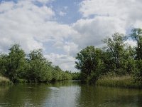 NL, Noord-Brabant, Drimmelen, Gat van de Plomp 1, Saxifraga-Jan van der Straaten