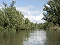 NL, Noord-Brabant, Drimmelen, Gat van de Plomp 17, Saxifraga-Willem van Kruijsbergen