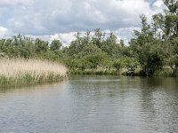 NL, Noord-Brabant, Drimmelen, Gat van de Slek 21, Saxifraga-Willem van Kruijsbergen