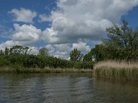 NL, Noord-Brabant, Drimmelen, Gat van de Slek 3, Saxifraga-Jan van der Straaten