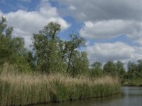 NL, Noord-Brabant, Drimmelen, Gat van de Vloeien 14, Saxifraga-Jan van der Straaten