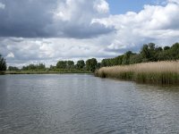 NL, Noord-Brabant, Drimmelen, Gat van de Vloeien 30, Saxifraga-Willem van Kruijsbergen