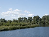 NL, Noord-Brabant, Drimmelen, Gat van de Vloeien 39, Saxifraga-Willem van Kruijsbergen