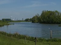 NL, Noord-Brabant, Drimmelen, Gat van den Ham 1, Saxifraga-Jan van der Straaten