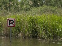 NL, Noord-Brabant, Drimmelen, Keesjes Jan Killeke 18, Saxifraga-Jan van der Straaten