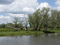 NL, Noord-Brabant, Drimmelen, Keesjes Jan Killeke 29, Saxifraga-Willem van Kruijsbergen