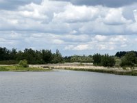 NL, Noord-Brabant, Drimmelen, Polder Lepelaar 7, Saxifraga-Willem van Kruijsbergen