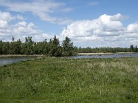 NL, Noord-Brabant, Drimmelen, Polder Turfzakken 8, Saxifraga-Willem van Kruijsbergen