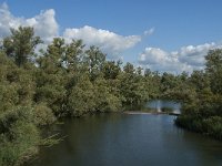 NL, Noord-Brabant, Drimmelen, Rupsenhoek 2, Saxifraga-Jan van der Straaten