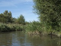 NL, Noord-Brabant, Drimmelen, Sloot Beneden Petrus 18, Saxifraga-Annemiek Bouwman