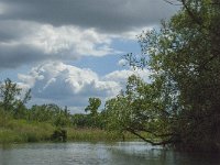 NL, Noord-Brabant, Drimmelen, Sloot van St Jan 2, Saxifraga-Jan van der Straaten