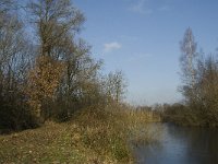 NL, Noord-Brabant, Grave, Graafsche Raam 11, Saxifraga-Jan van der Straaten