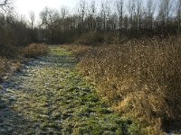 NL, Noord-Brabant, Grave, Graafsche Raam 2, Saxifraga-Jan van der Straaten