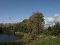 NL, Noord-Brabant, Heusden, Haarsteegsewiel 2, Saxifraga-Jan van der Straaten