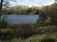 NL, Noord-Brabant, Heusden, Haarsteegsewiel 4, Saxifraga-Jan van der Straaten