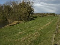 NL, Noord-Brabant, Heusden, Zeedijk 4, Saxifraga-Jan van der Straaten