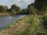 NL, Noord-Brabant, Heusden, de Sompen en Zooislagen 7, Saxifraga-Jan van der Straaten