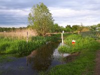 NL, Noord-Brabant, Hilvarenbeek, Diessens Broek 11, Saxifraga-Tom Heijnen