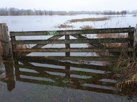 NL, Noord-Brabant, Hilvarenbeek, Diessens Broek 3, Saxifraga-Tom Heijnen