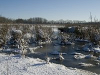 NL, Noord-Brabant, Oirschot, Dal van de Beerze 25, Saxifraga-Marijke Verhagen