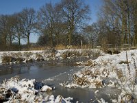 NL, Noord-Brabant, Oirschot, Dal van de Beerze 28, Saxifraga-Jan van der Straaten