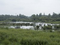 NL, Noord-Brabant, Oisterwijk, Logtsebaan 2, Saxifraga-Willem van Kruijsbergen