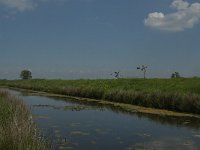 NL, Noord-Brabant, Oss, Groenendijk 2, Saxifraga-Jan van der Straaten