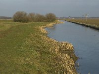 NL, Noord-Brabant, Oss, Strijbeemden, Groenendijk 12, Saxifraga-Jan van der Straaten