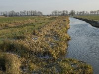 NL, Noord-Brabant, Oss, Strijbeemden, Hertogswetering 10, Saxifraga-Jan van der Straaten