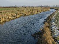 NL, Noord-Brabant, Oss, Strijbeemden, Hertogswetering 15, Saxifraga-Jan van der Straaten