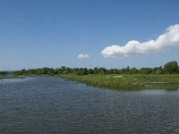 NL, Noord-Brabant, Steenbergen, Botkreek 4, Saxifraga-Jan van der Straaten