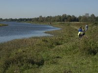 NL, Noord-Brabant, Steenbergen, Dintelse Gorzen 17, Saxifraga-Jan van der Straaten