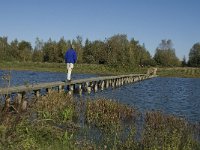 NL, Noord-Brabant, Steenbergen, Dintelse Gorzen 2, Saxifraga-Jan van der Straaten