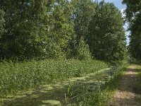 NL, Noord-Brabant, Tilburg, Zandkantse Leij 3, Saxifraga-Jan van der Straaten