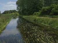 NL, Noord-Brabant, Tilburg, Zandleij 5, Saxifraga-Jan van der Straaten