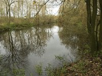 NL, Noord-Brabant, Valkenswaard, Pelterheggen 30, Saxifraga-Jan van der Straaten