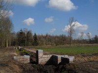 NL, Noord-Brabant, Valkenswaard, Pelterheggen 39, Saxifraga-Marijke Verhagen