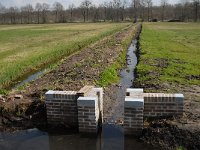 NL, Noord-Brabant, Valkenswaard, Pelterheggen 49, Saxifraga-Jan van der Straaten