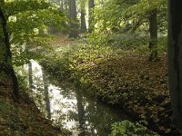 NL, Noord-Brabant, Vught, Kasteel Maurick 2, Saxifraga-Jan van der Straaten