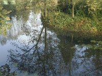 NL, Noord-Brabant, Vught, Kasteel Maurick 5, Saxifraga-Jan van der Straaten